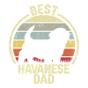 Bester Hund Dad - Havanese
