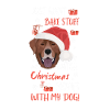 Joyeux Noël Labrador