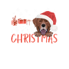 Joyeux Noël Labrador
