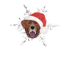 Labrador Merry Christmas