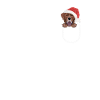 Joyeux Noël Labrador