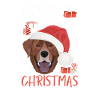 Joyeux Noël Labrador