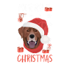 Joyeux Noël Labrador