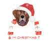 Labrador Weihnachtsmarkt