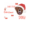 Joyeux Noël Labrador