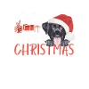 Joyeux Noël Labrador