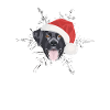 Joyeux Noël Labrador