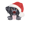 Joyeux Noël Labrador