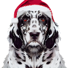 Deutsch Setter Christmas