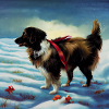 Deutsch Shepherd Christmas