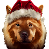 Eurasier Christmas