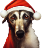 Lurcher Christmas