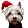 Westie Christmas - Westie