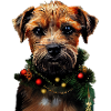 Noël Border Terrier
