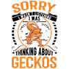 Gecko Geschenk Leopardgecko