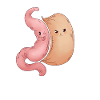 Sleeve gastrectomy sleeve gastrectomy