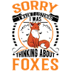 Fuchs Geschenk Rotfuchs