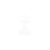 Généalogiste