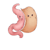 Sleeve gastrectomy sleeve gastrectomy