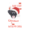 Labrador Merry Christmas