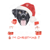 Labrador Weihnachtsmarkt