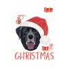 Joyeux Noël Labrador