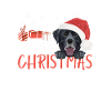 Joyeux Noël Labrador