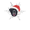 Joyeux Noël Labrador