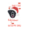 Joyeux Noël Labrador