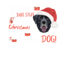 Labrador Merry Christmas