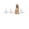Malinois Dog Dog Propriétaire