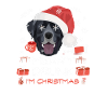 Labrador Weihnachtsmarkt