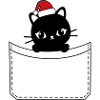 Chat poche bonnet noël