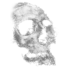 Lineart Skull