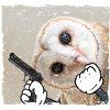 Owl Armed Birds Bird Gangster