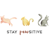 Stay pawsitive / stay positive