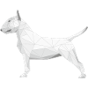 Bull Terrier