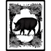 Sanglier dans les fleurs