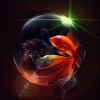 Betta Fisch Universum
