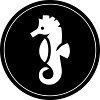 Seahorse animal circle