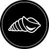 Mussel snail circle