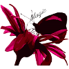 Magic butterfly red