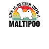 Maltipoo Rodzinny Pies Prezent