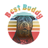 American Bully Best Friend