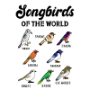 Oiseaux chanteurs du monde
