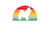 Pomsky