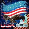 USA, American Eagle
