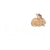Essen Hase