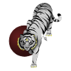 Tigre