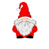 Joyeux Noël Gnome